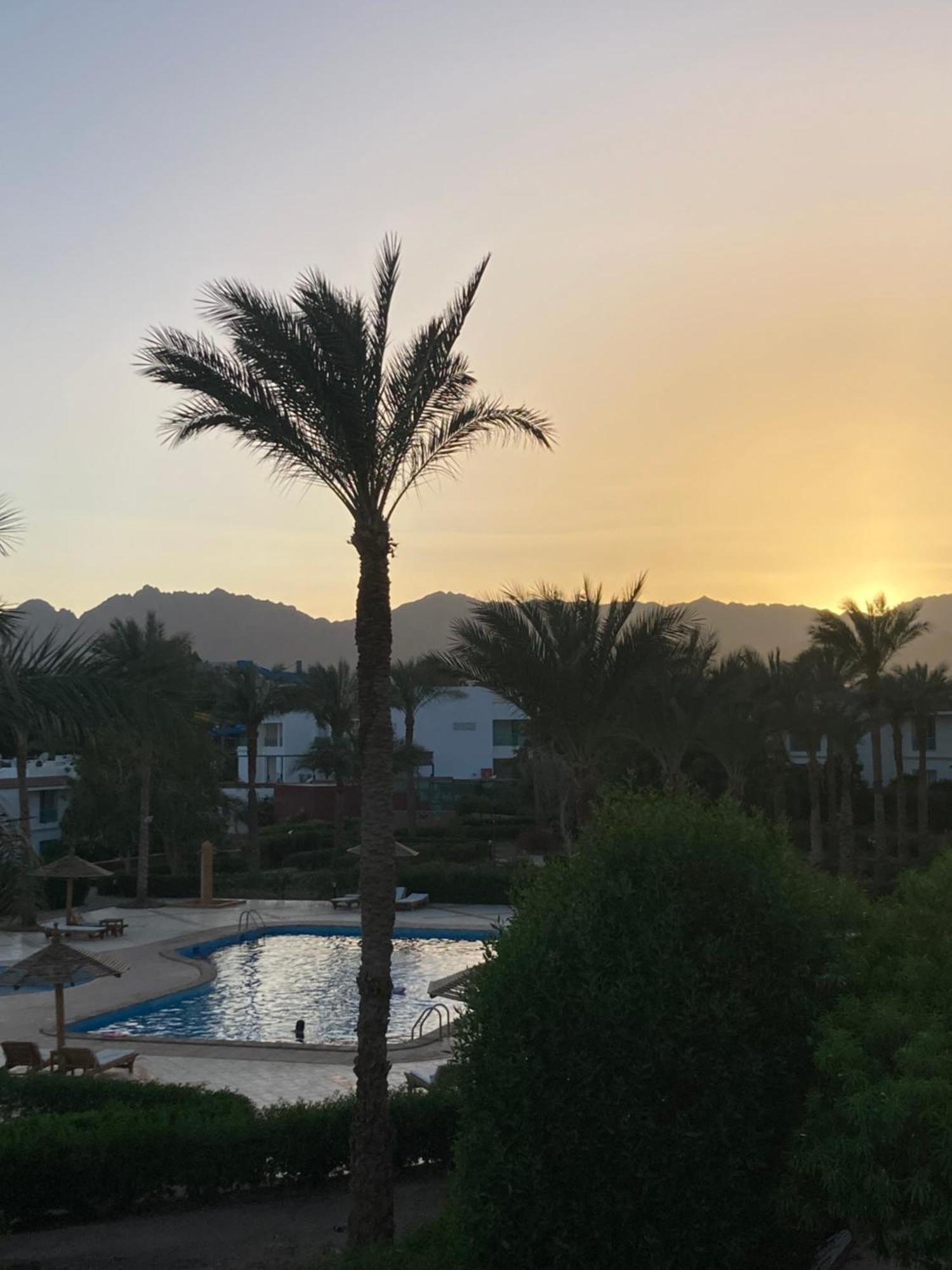 Unique Sunset Studio Apartamento Sharm El Sheikk Exterior foto